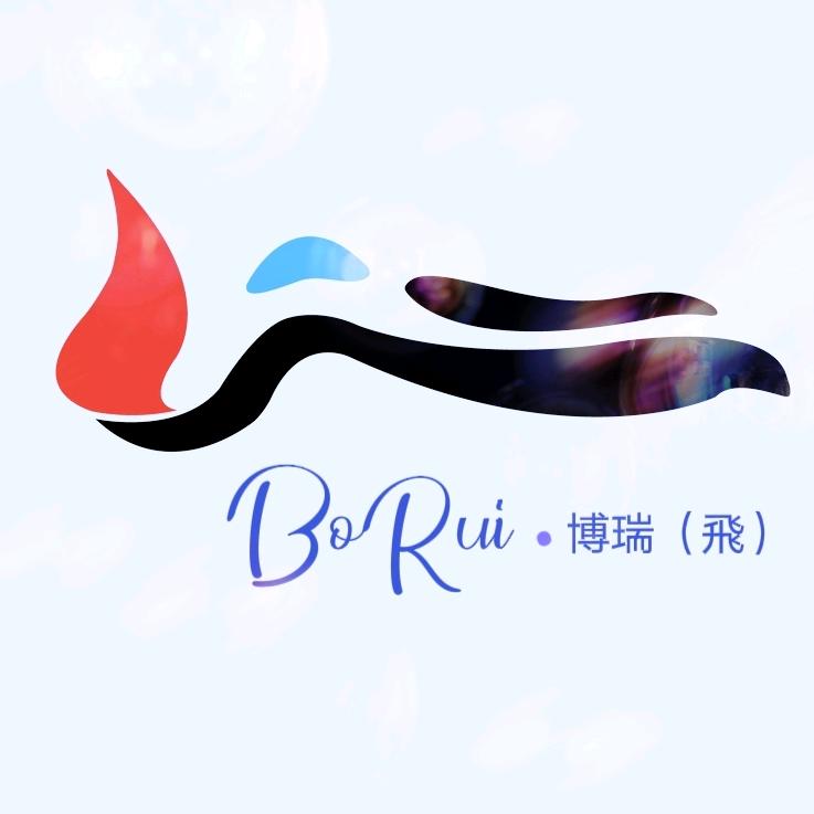 BoRui • 博瑞（飛）