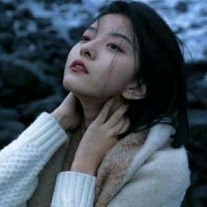 雨中的芙蓉花