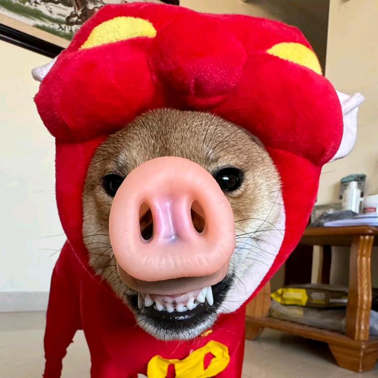 想变成超级棒棒糖