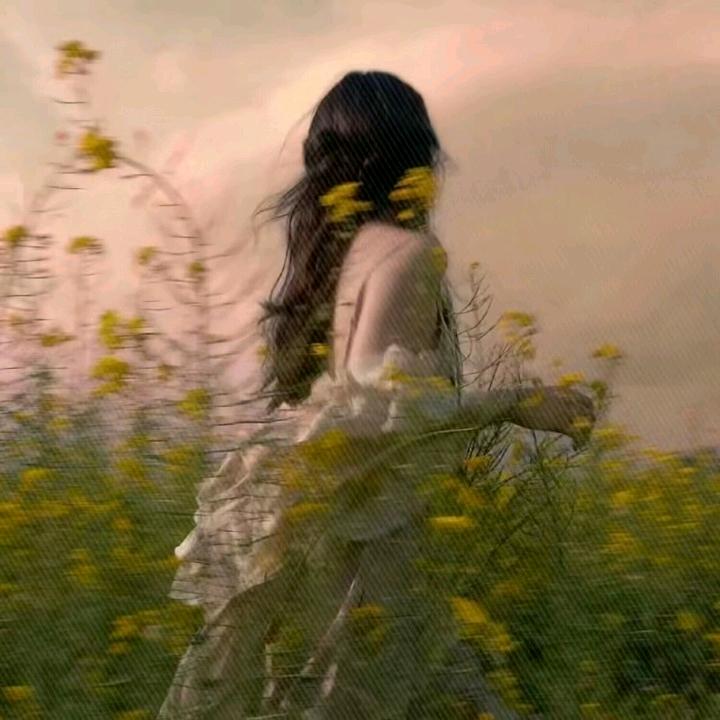 窝窝