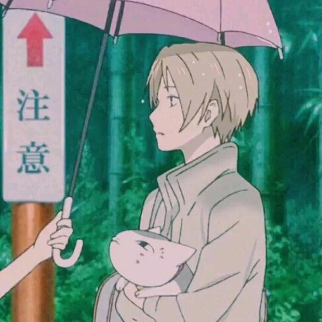 当只野生喵