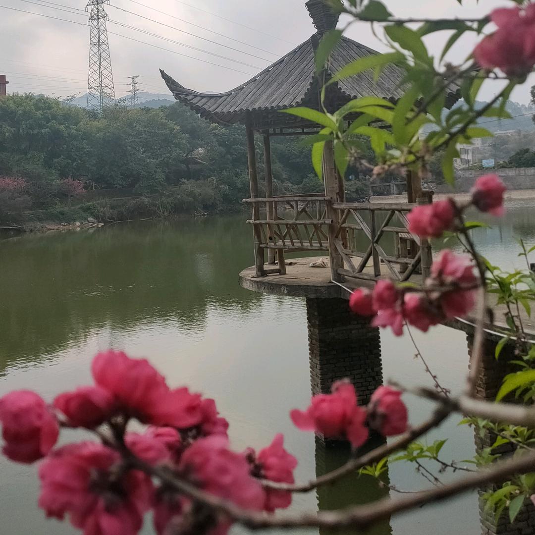 欣欣🌹好物