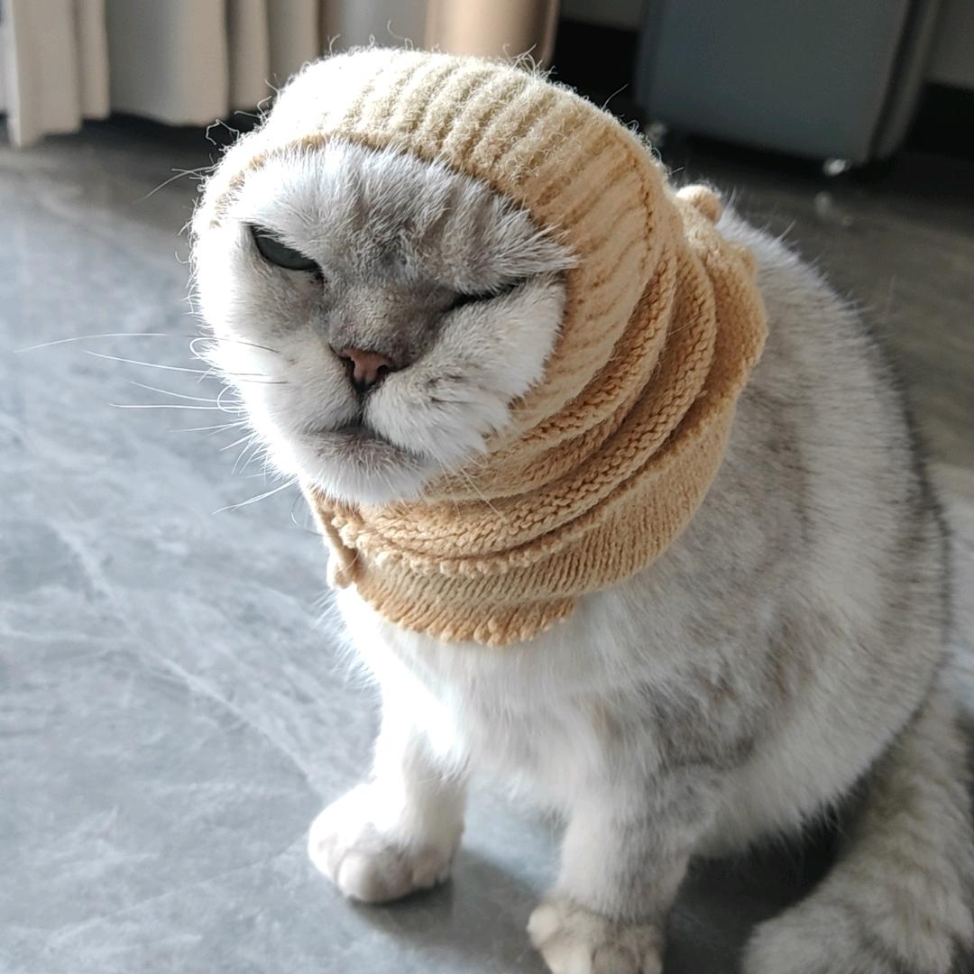 歌单