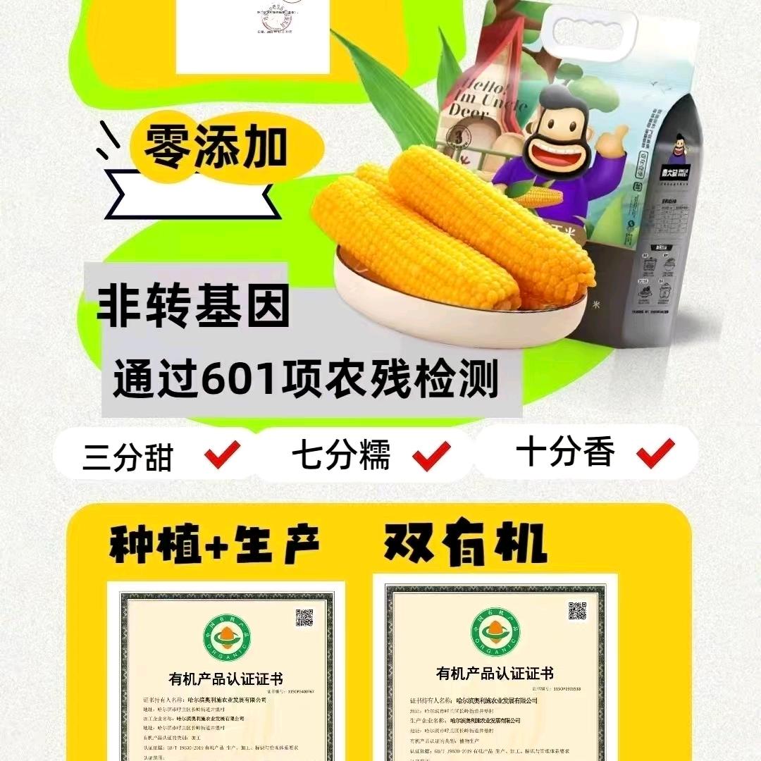泽侬甄选