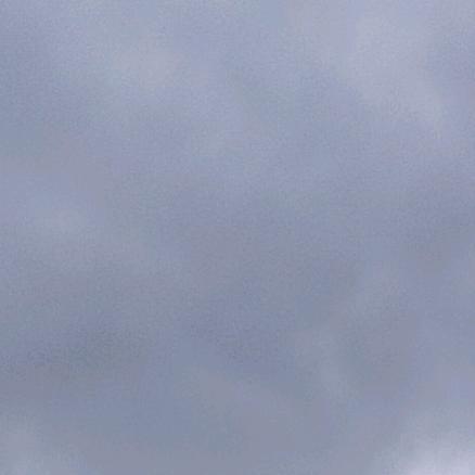 功夫胖Kung fu pang