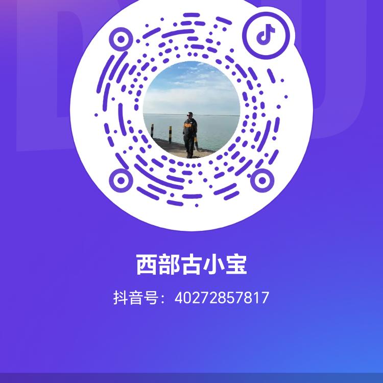 西部古小宝