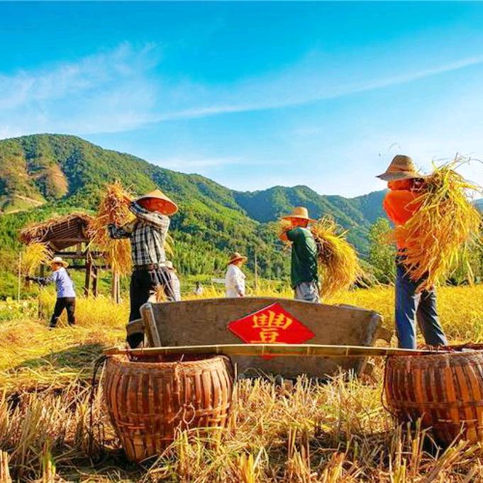 湘里乡亲-农家土特产