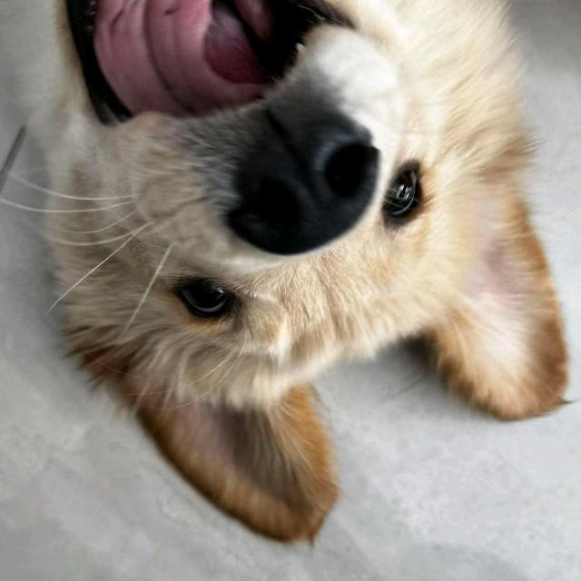 檐下