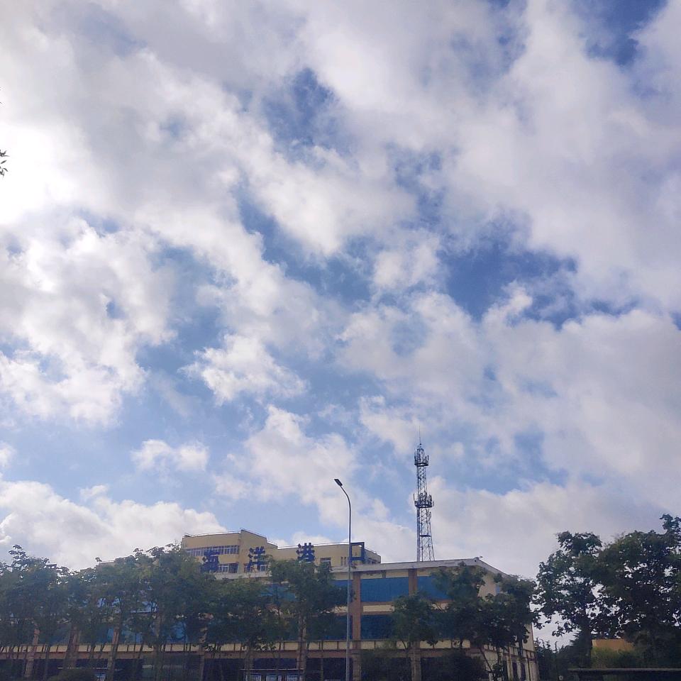 臭宝不是宝