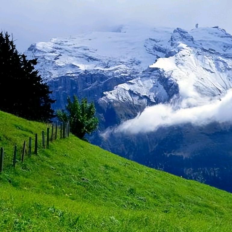 途遇——纯玩版