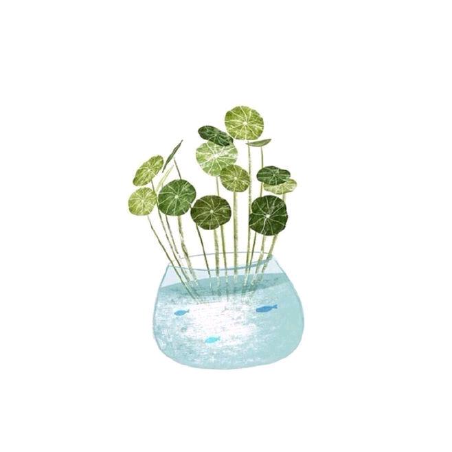 VX搜高科铺加铺