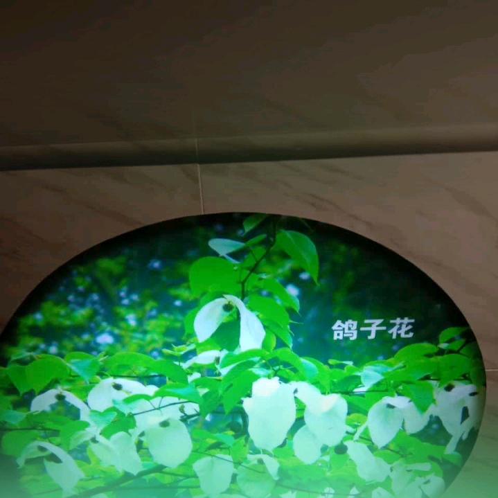 子夜