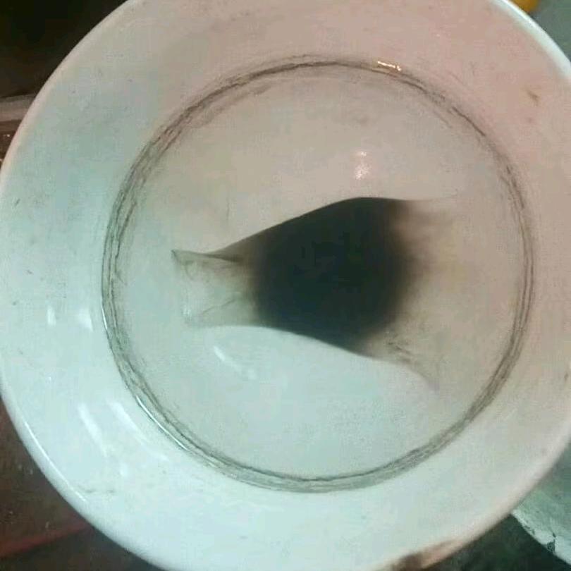 福缘善庆代号717