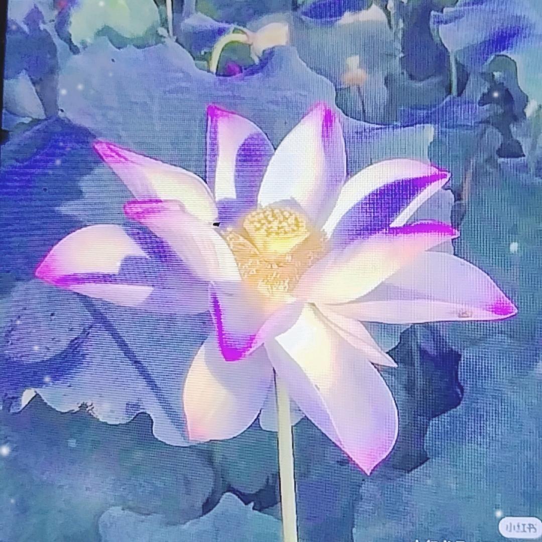 许奶奶呀！