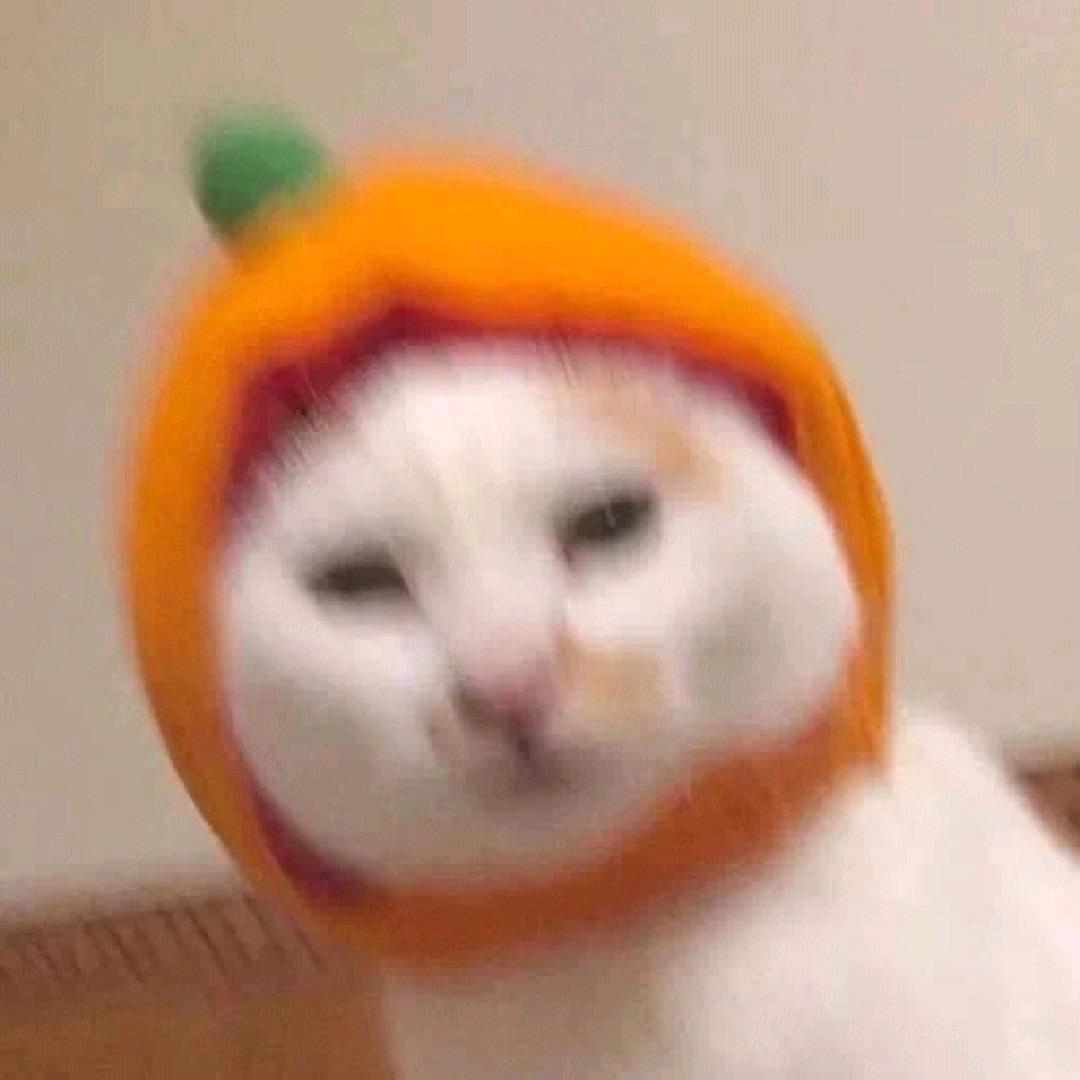 .G
