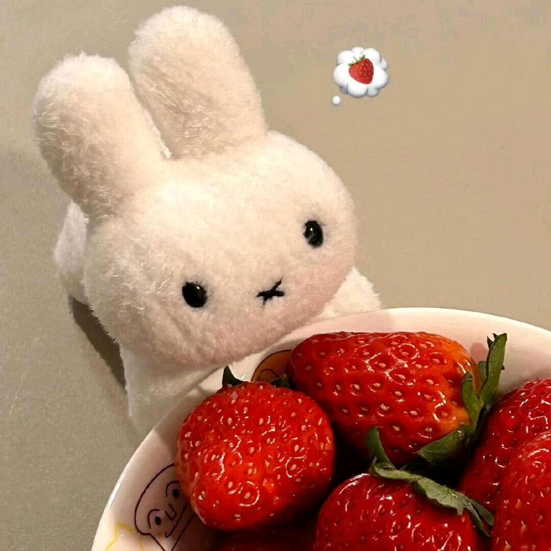 🍥芋泥卷 ⁺ ♡₊⋆