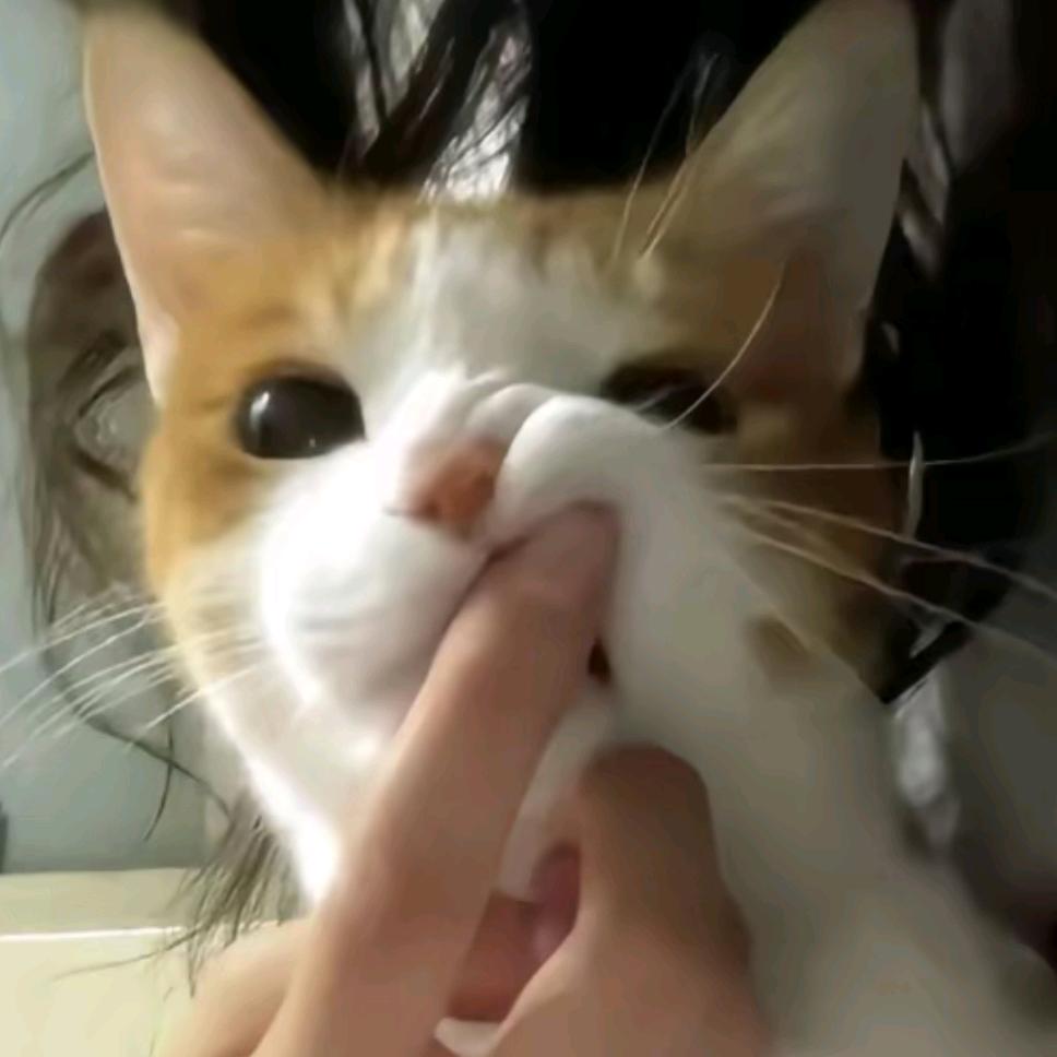陪伴