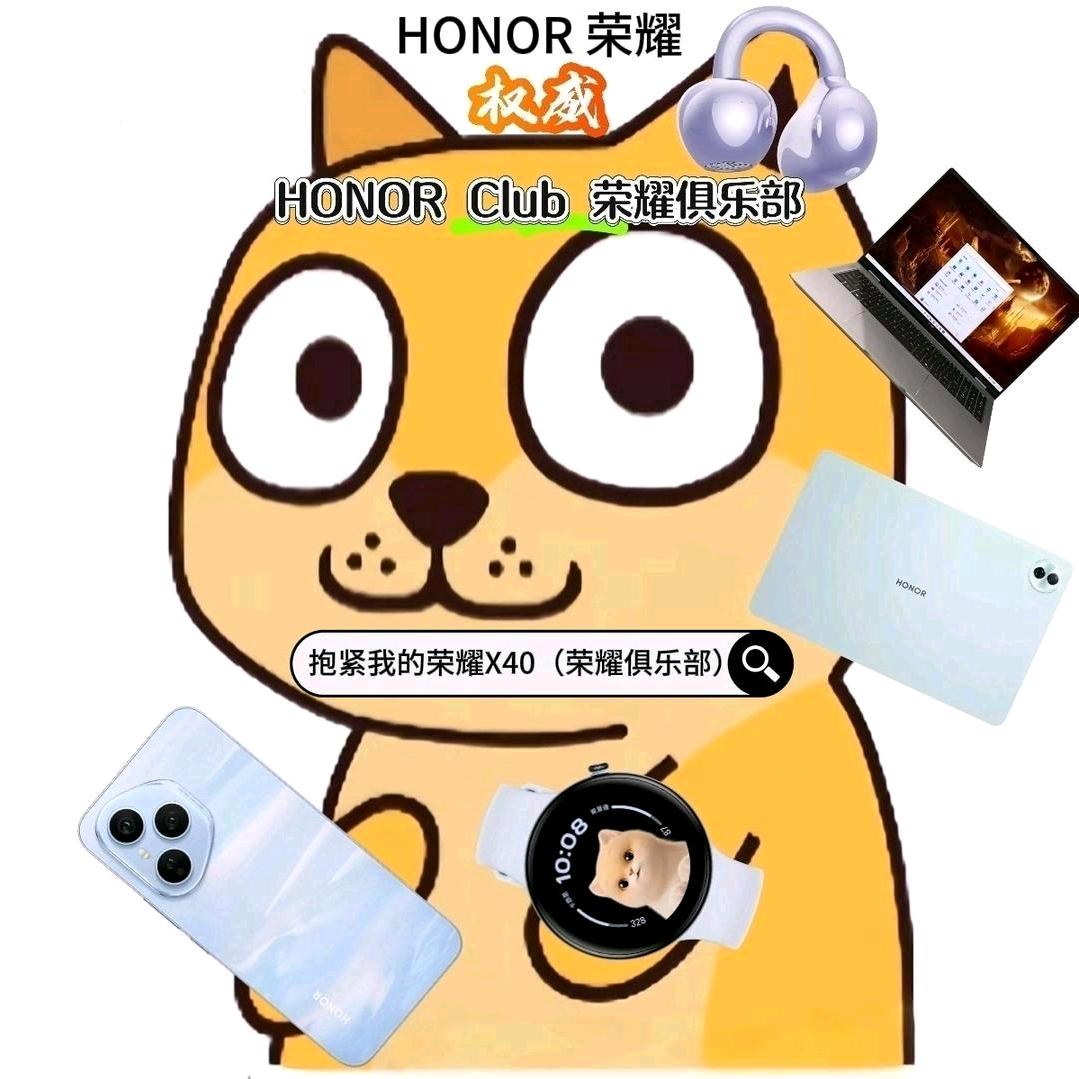 抱紧我的荣耀X40 （哈尔滨荣耀俱乐部）