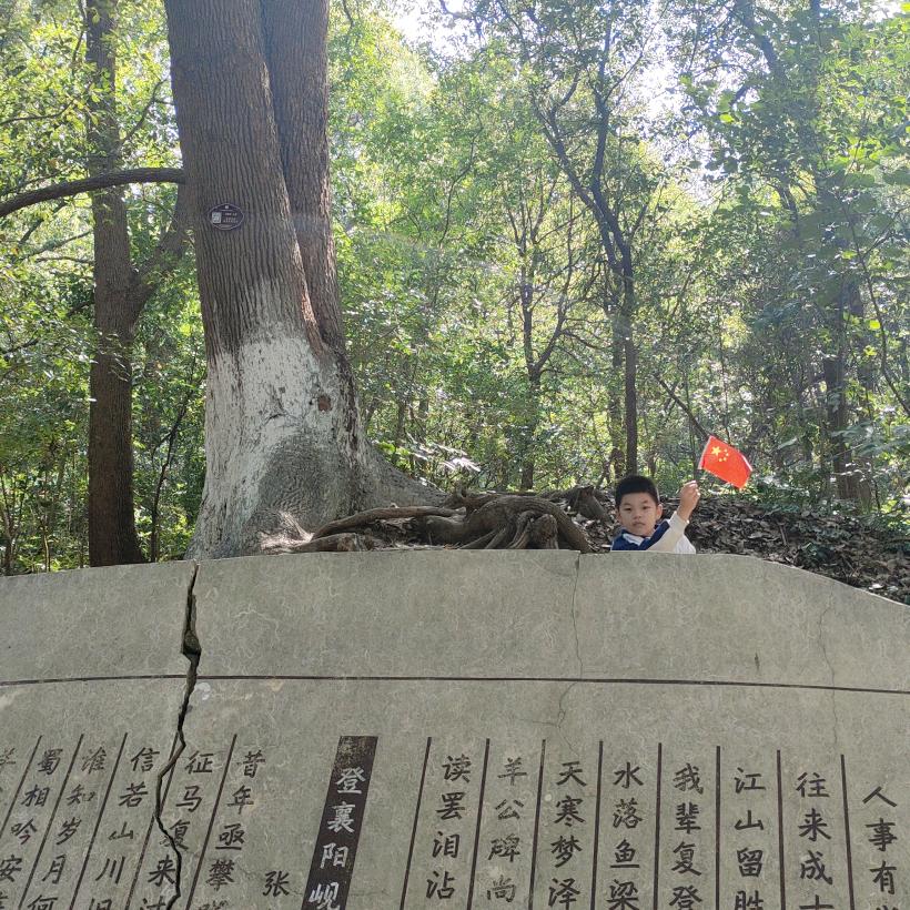 阿莲