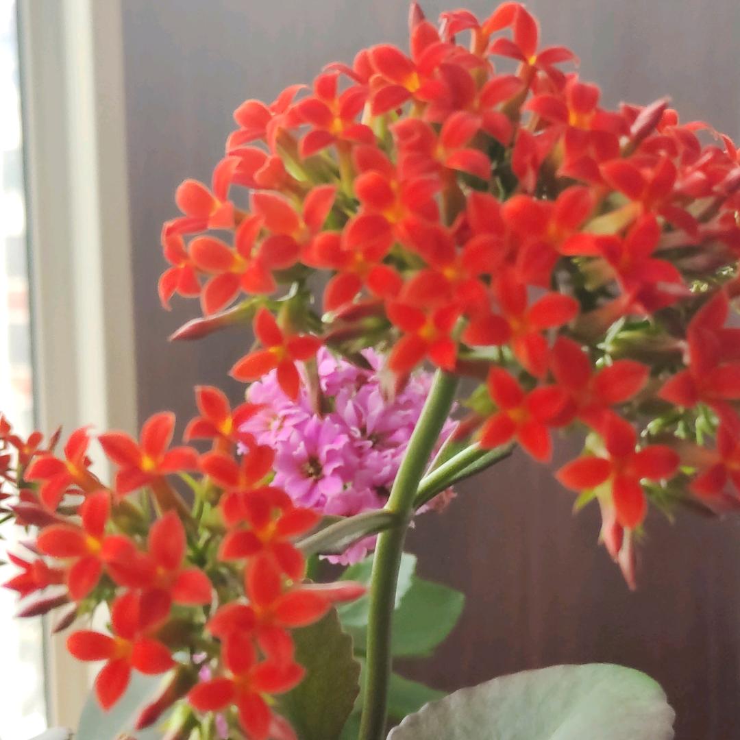 修心♥