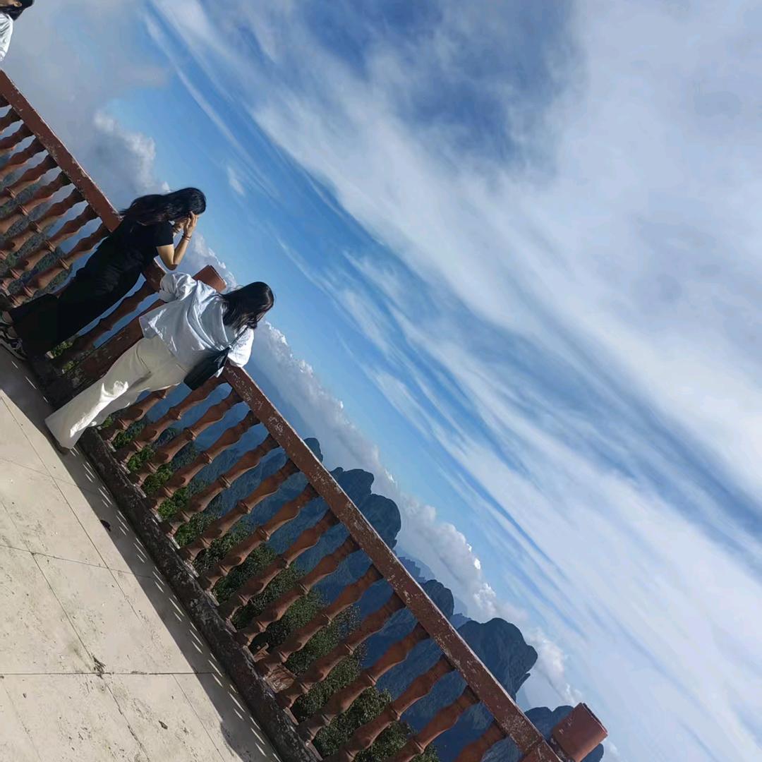 向阳而生🌼