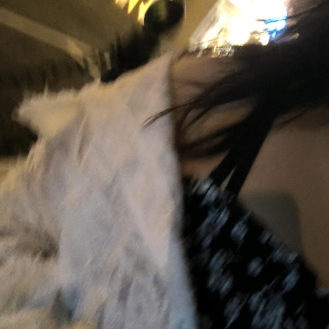 小小麻薯