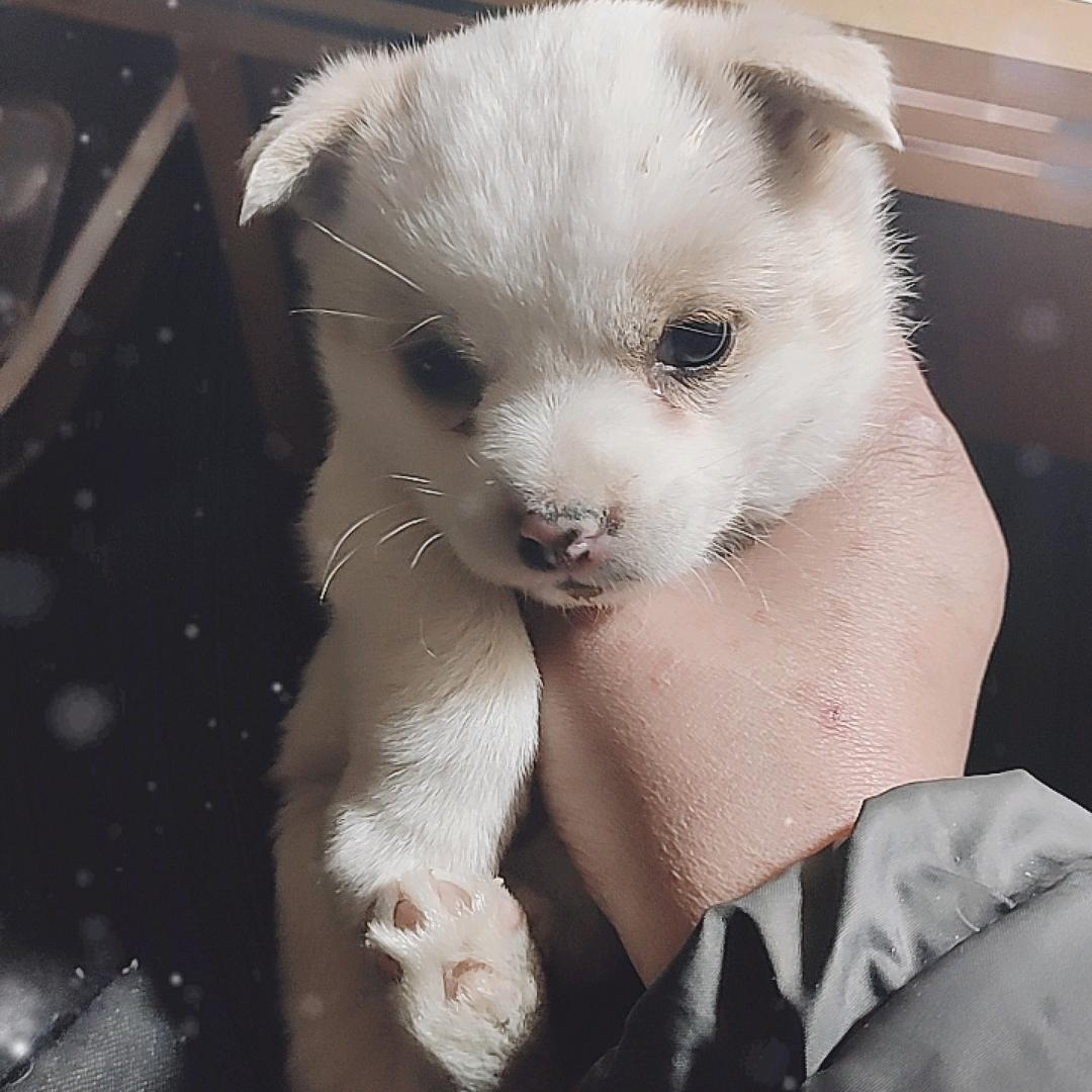 鸡皮疙瘩买了我的空调不给钱，如果再不给我