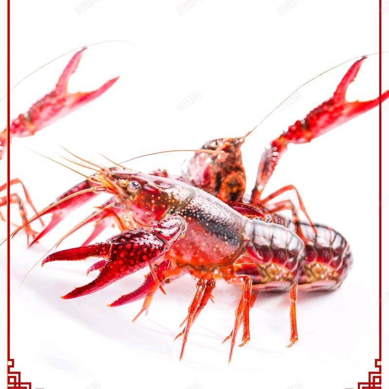 小龙虾产地直发