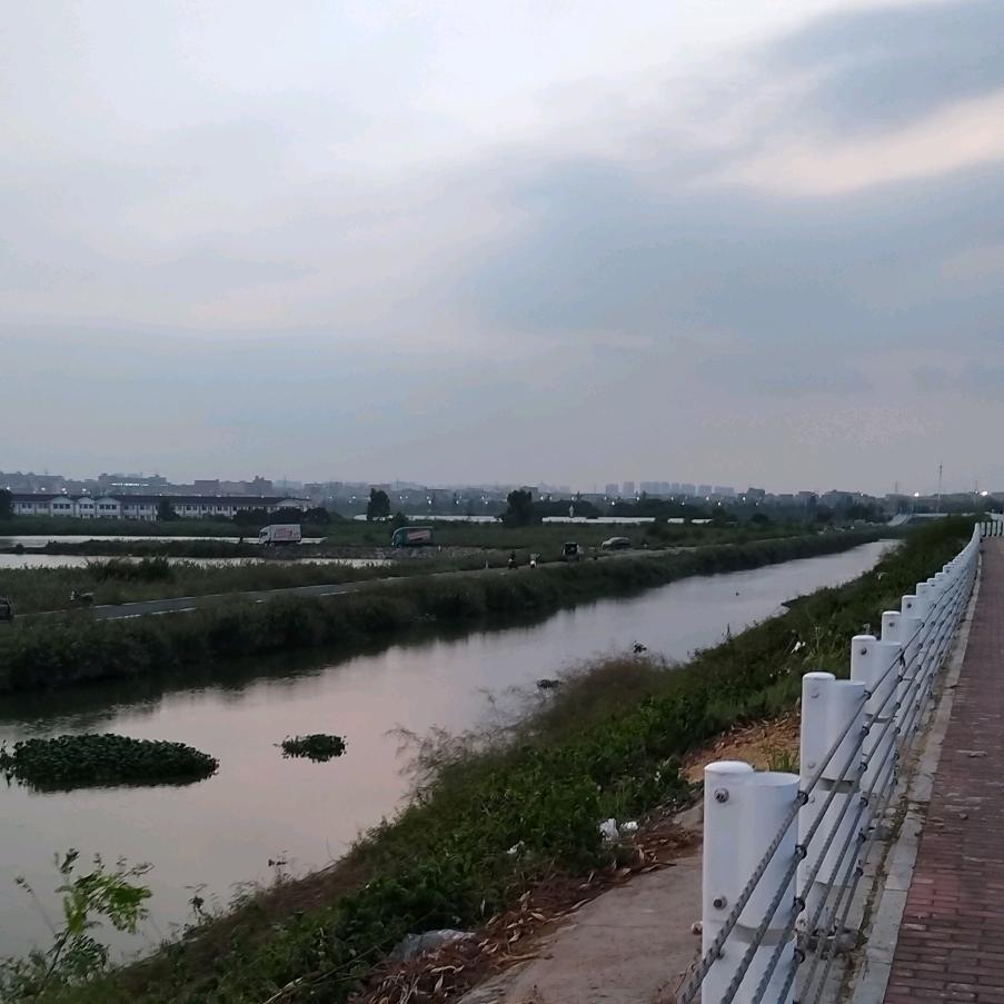 李小排