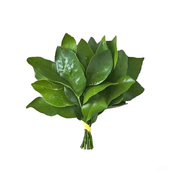 花椰菜泡饭.