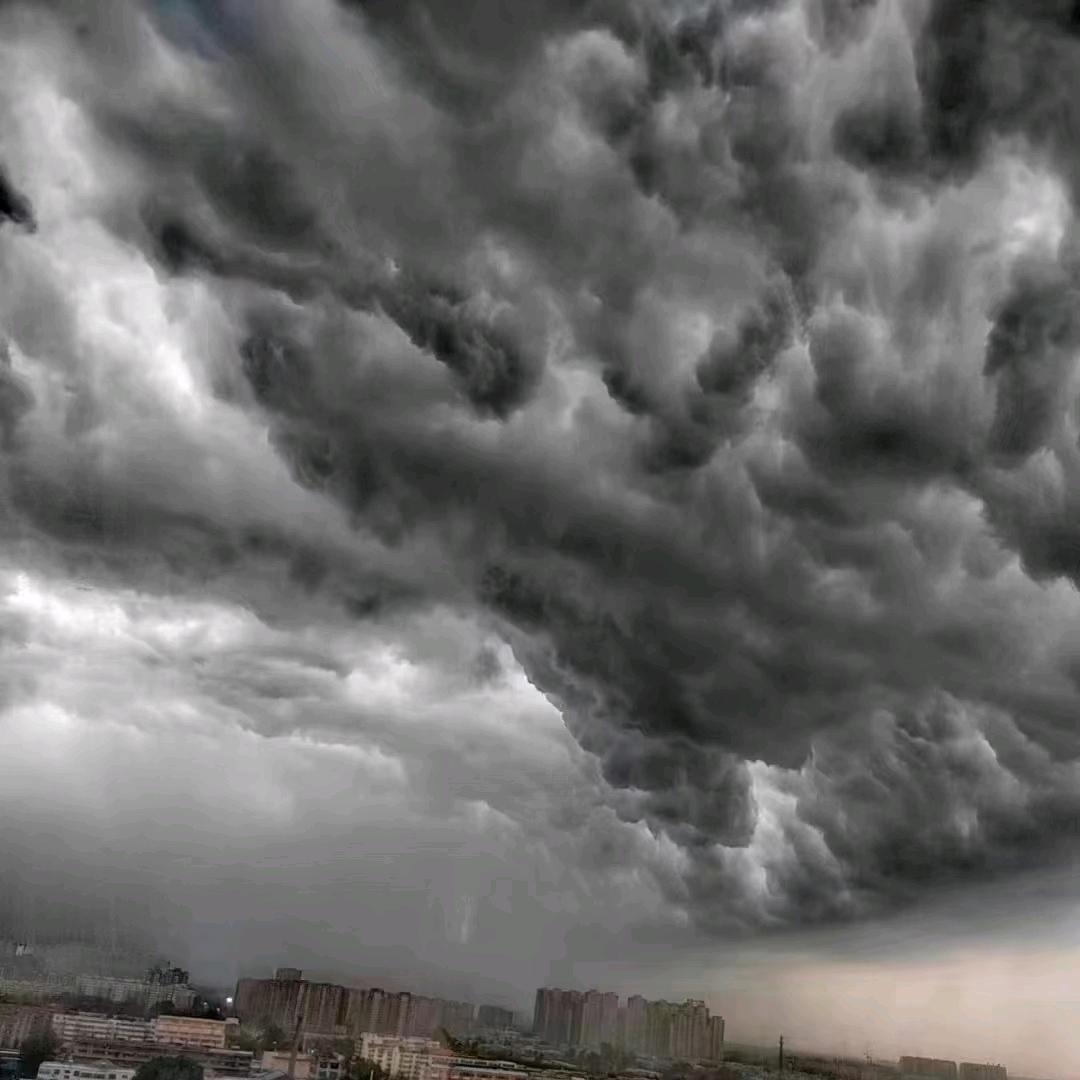 王老师儿的日记