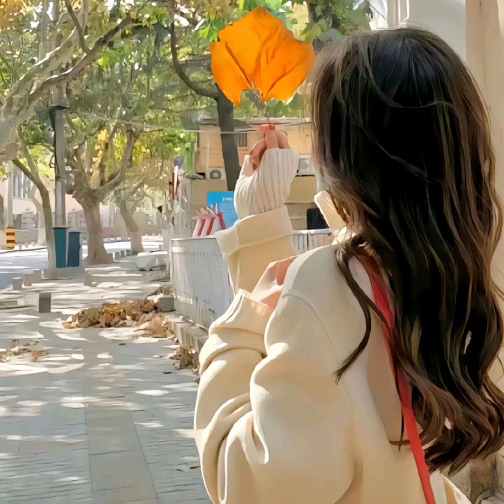 梦梦