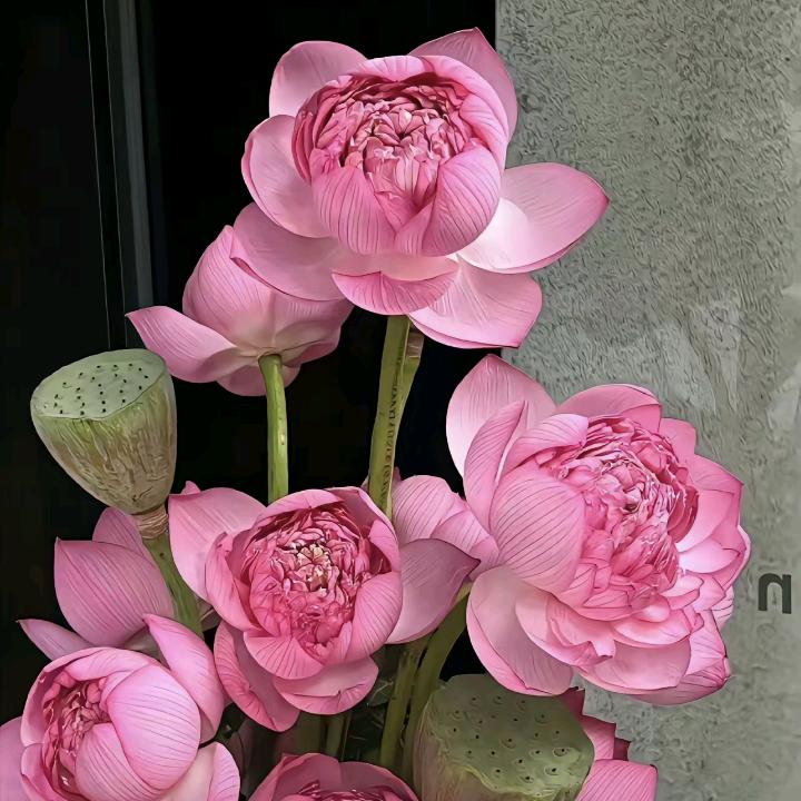 花好月圆，
