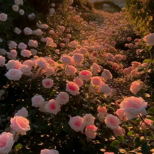 এ💞ꦿ晨ོ曦᭄思ོ瑶⁵²º᭄এ