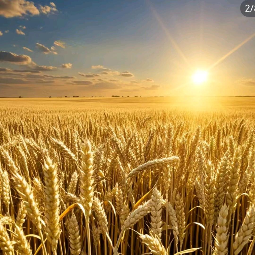 鱼乐江湖🎣''💦