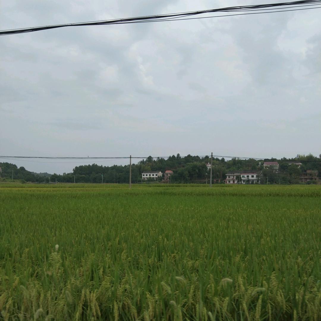 你好