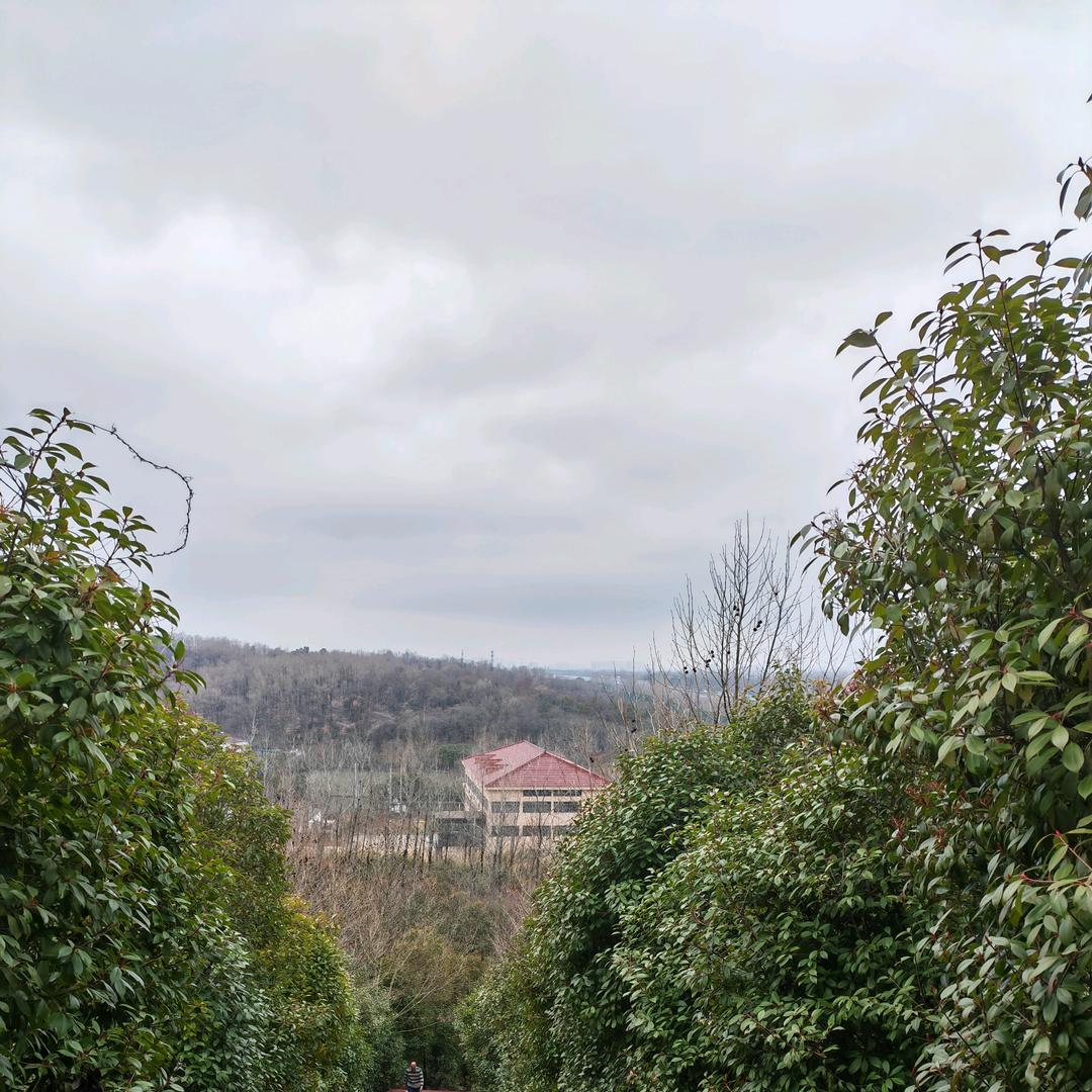 🍷冰封的心🍷