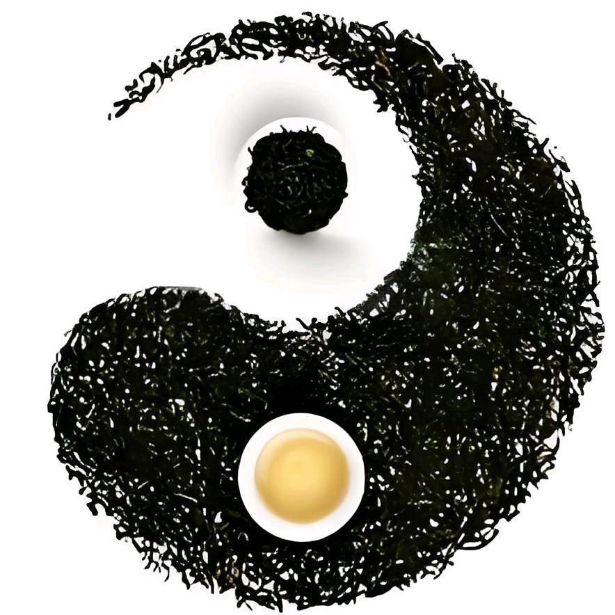 （清一）张昱硕