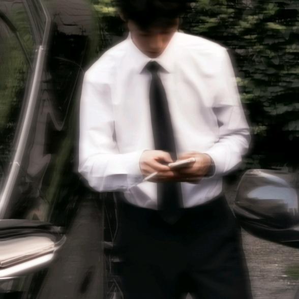 白辰.
