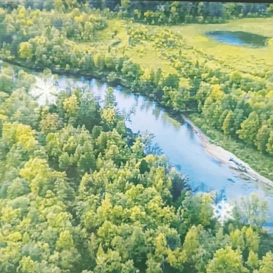 一花一世界（商店有好商品）