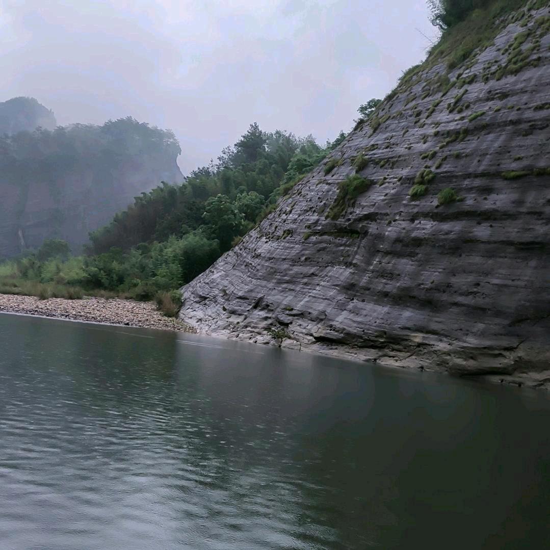 阳阳🌲🌹💐🍒🍒🍒