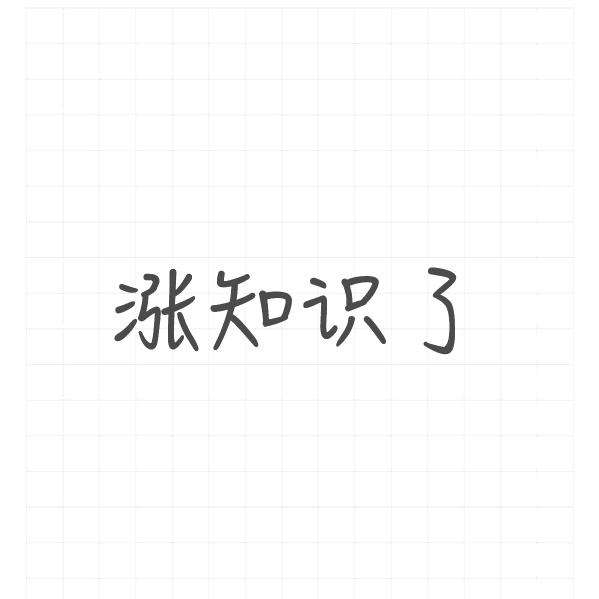 你来啦