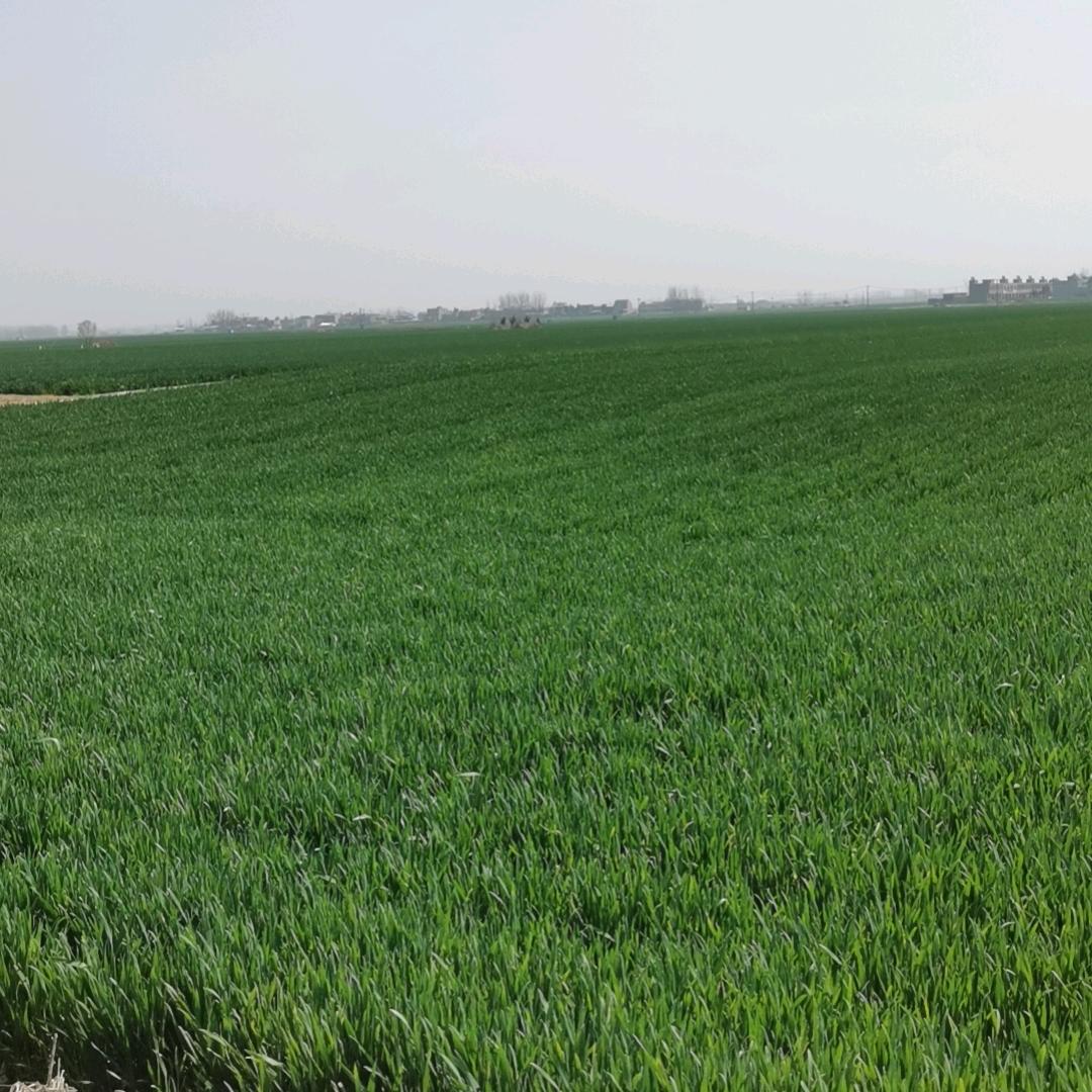 李ヅ贤♂下あ士★