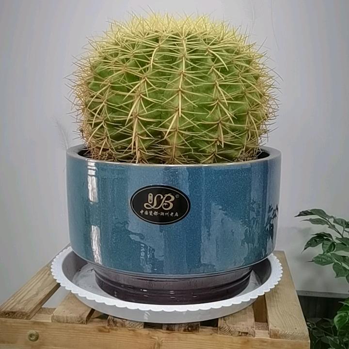 暂时无法接通