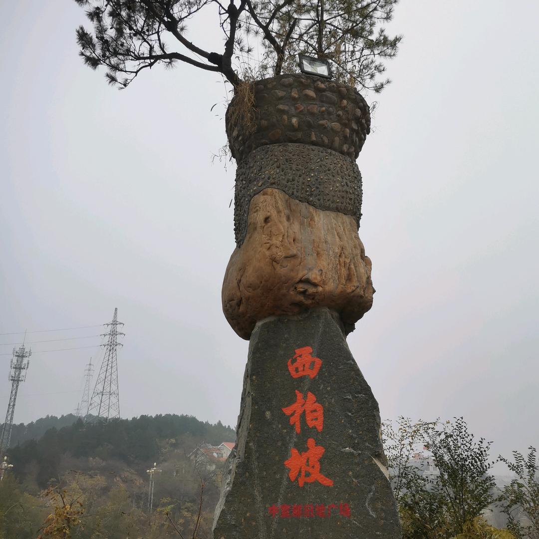 开心😊