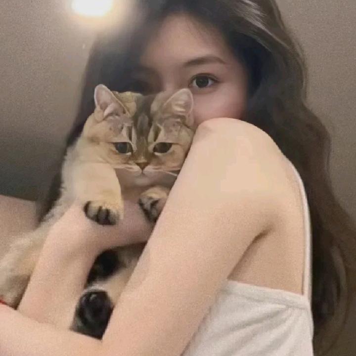 小浣熊跑起来