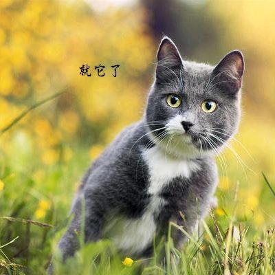 小木百货热销