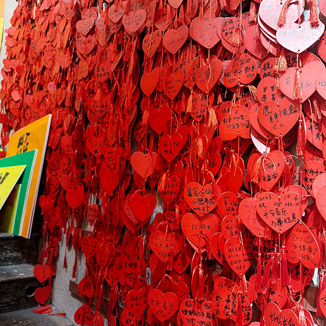 娇♡土养(T＿T)理●︿●