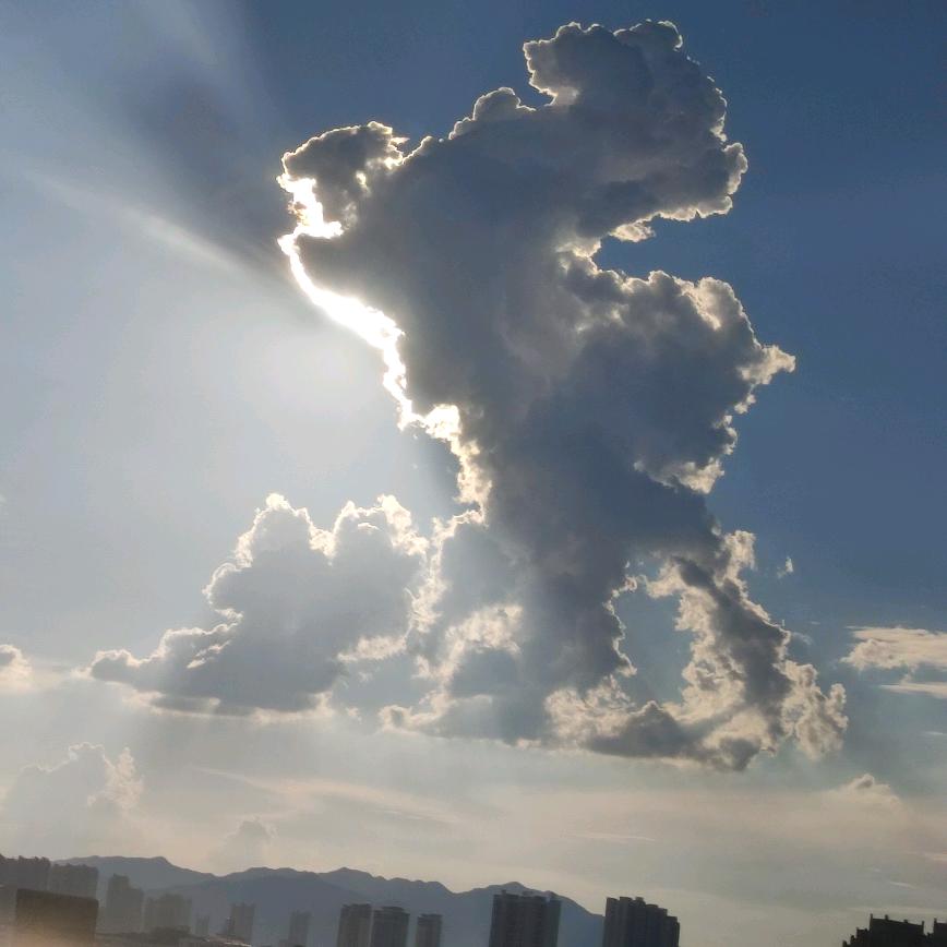 小琴(好物分享)快去收藏吧！