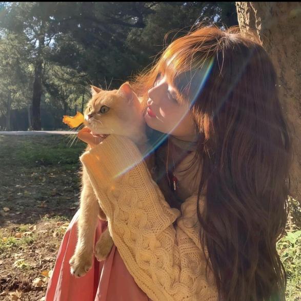 •ᴗ•小喵碎碎冰